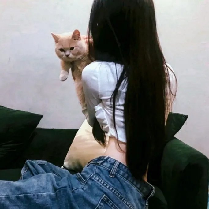 借镜杀人